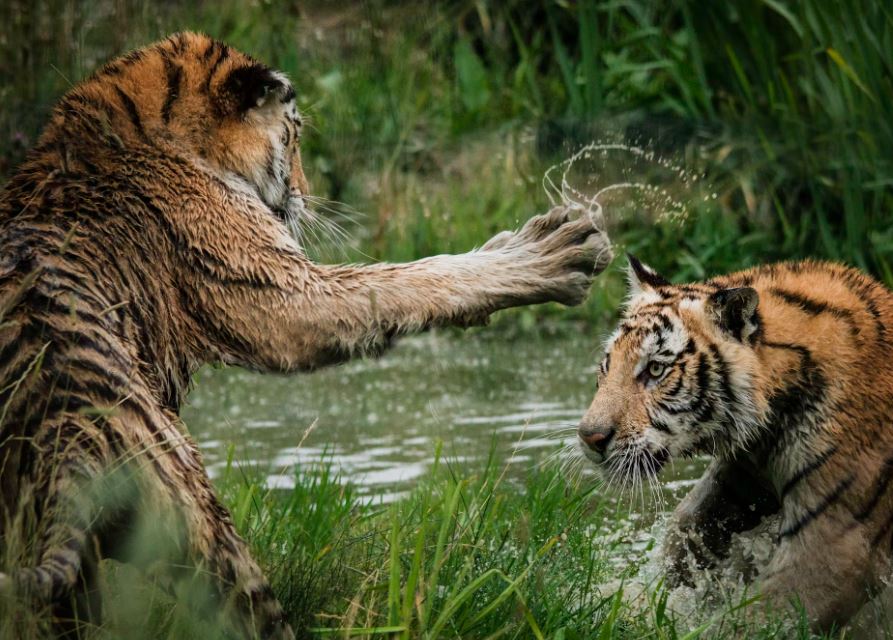 전 남자친구랑 싸우는 꿈