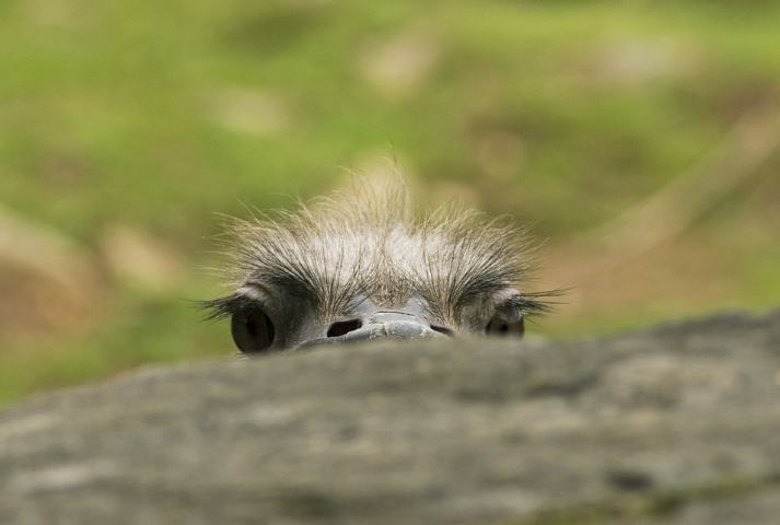 남자친구가 집착하는 꿈, 남친이 집착하는 꿈