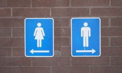 화장실 줄 서는 꿈