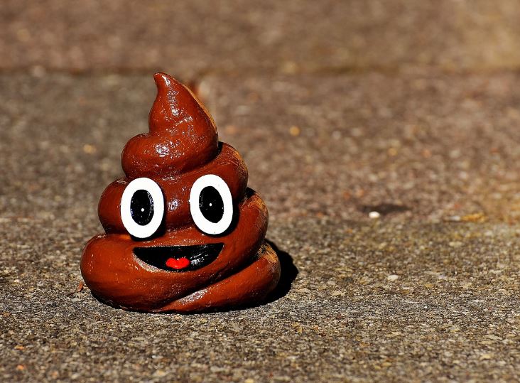 똥통에 빠지는 꿈