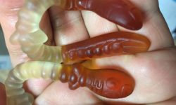 지렁이 떼어내는 꿈