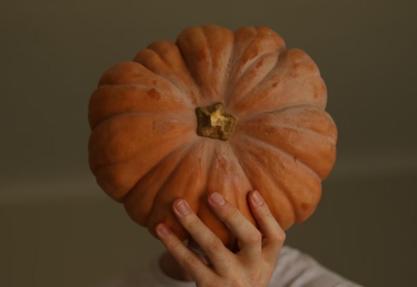 늙은 호박 꿈