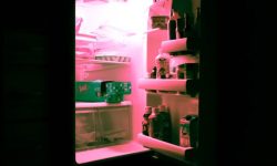 냉장고 여는 꿈