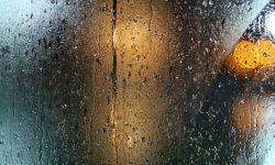 집에 비가 새는 꿈