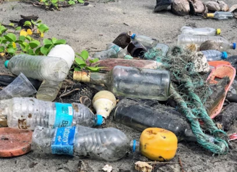 집에 쓰레기가 가득한 꿈