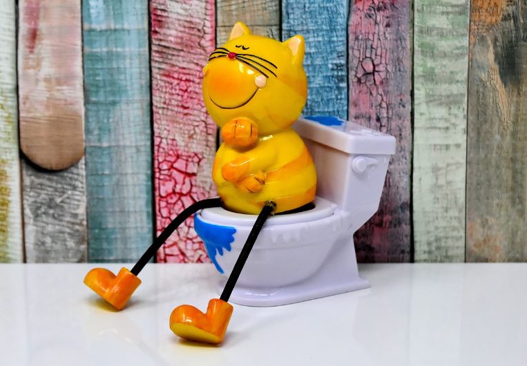 막힌 변기를 뚫는 꿈