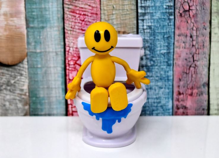 똥통에 빠지는 꿈