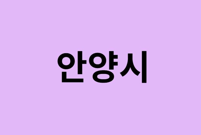 안양시에서 인천공항 가는법 (버스시간표, 기차, 가격, 요금, 공항버스, 제1, 2터미널)