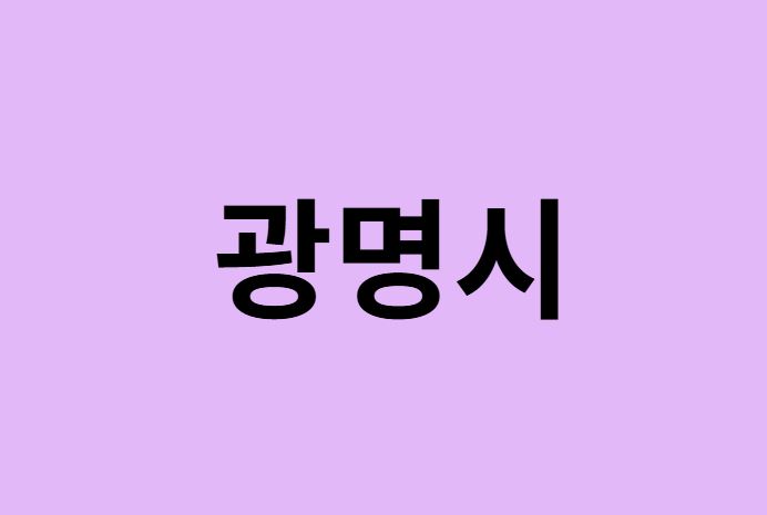 광명시에서 인천공항 가는법 (버스시간표, 기차, 가격, 요금, 공항버스, 제1, 2터미널)