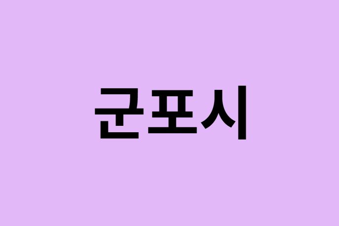 군포시에서 인천공항 가는법 (버스시간표, 기차, 가격, 요금, 공항버스, 제1, 2터미널)