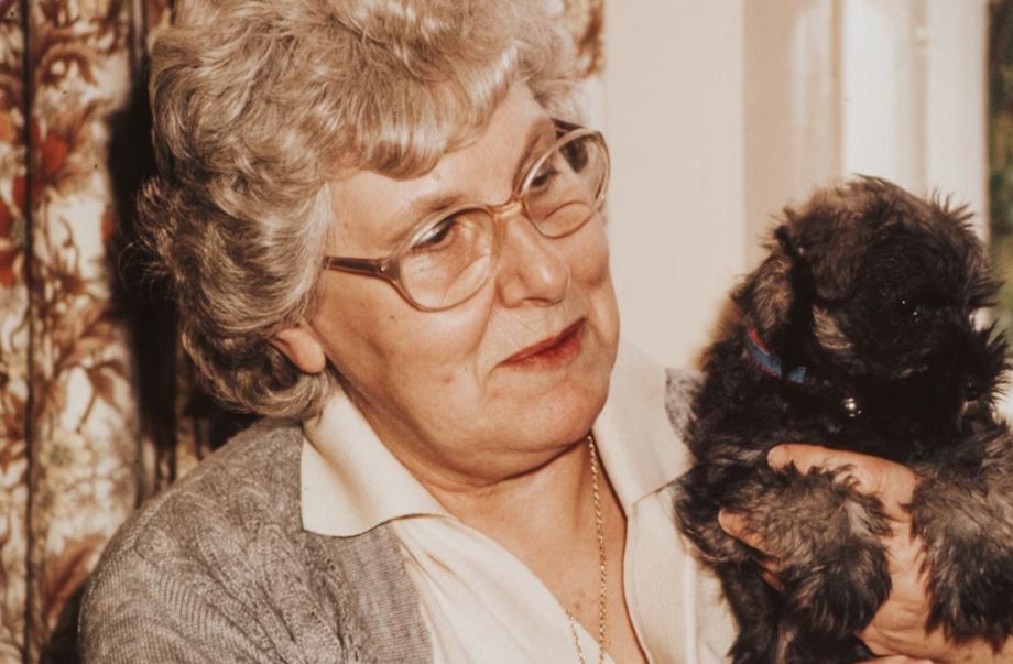 돌아가신 엄마랑 싸우는 꿈