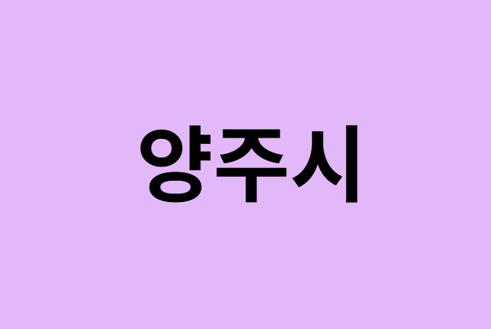 양주시에서 인천공항 가는법 (버스시간표, 기차, 가격, 요금, 공항버스, 제1, 2터미널)