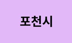 포천시에서 인천공항 가는법 (버스시간표, 기차, 가격, 요금, 공항버스, 제1, 2터미널)