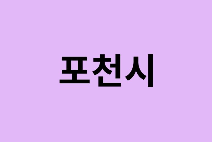 포천시에서 인천공항 가는법 (버스시간표, 기차, 가격, 요금, 공항버스, 제1, 2터미널)