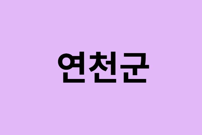 연천군에서 인천공항 가는법 (버스시간표, 기차, 가격, 요금, 공항버스, 제1, 2터미널)