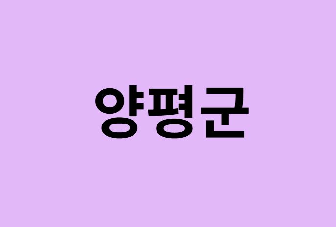 양평군에서 인천공항 가는법 (버스시간표, 기차, 가격, 요금, 공항버스, 제1, 2터미널)