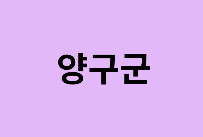 양구군에서 인천공항 가는법 (버스시간표, 기차, 가격, 요금, 공항버스, 제1, 2터미널)