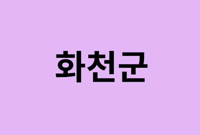 화천군에서 인천공항 가는법 (버스시간표, 기차, 가격, 요금, 공항버스, 제1, 2터미널)