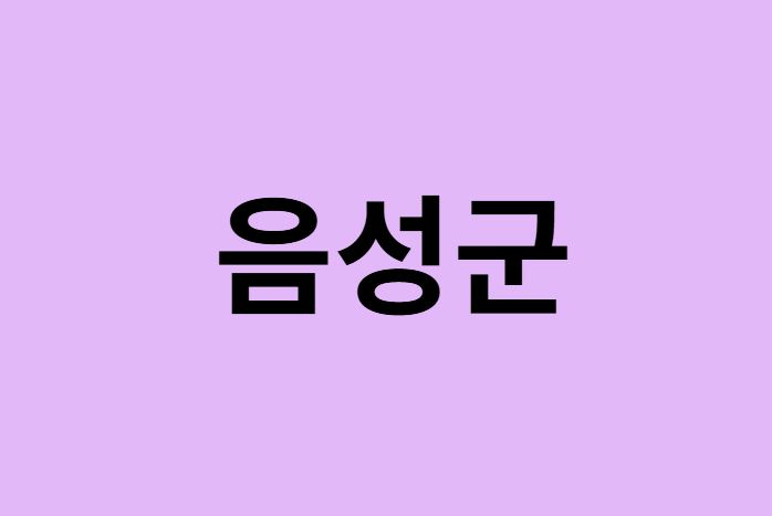 음성군에서 인천공항 가는법 (버스시간표, 기차, 가격, 요금, 공항버스, 제1, 2터미널)