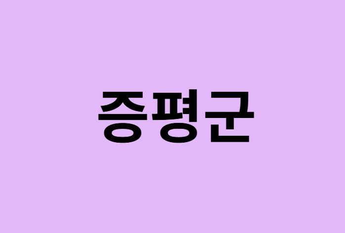 증평군에서 인천공항 가는법 (버스시간표, 기차, 가격, 요금, 공항버스, 제1, 2터미널)