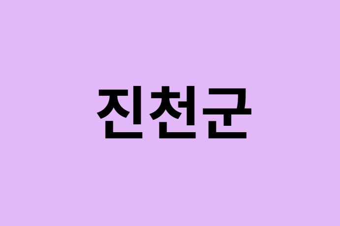 진천군에서 인천공항 가는법 (버스시간표, 기차, 가격, 요금, 공항버스, 제1, 2터미널)