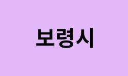 보령시에서 인천공항 가는법 (버스시간표, 기차, 가격, 요금, 공항버스, 제1, 2터미널)