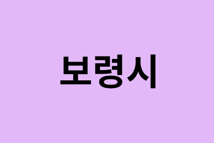 보령시에서 인천공항 가는법 (버스시간표, 기차, 가격, 요금, 공항버스, 제1, 2터미널)