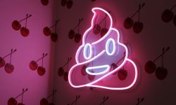 변기에 굵은똥이 가득한 꿈