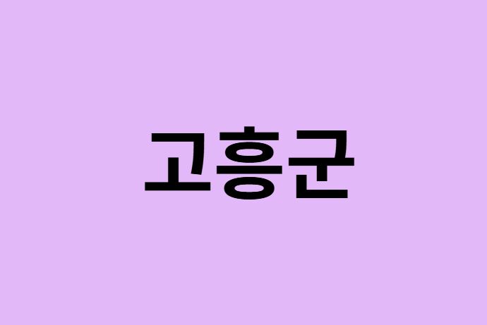고흥군에서 인천공항 가는법 (버스시간표, 기차, 가격, 요금, 공항버스, 제1, 2터미널)