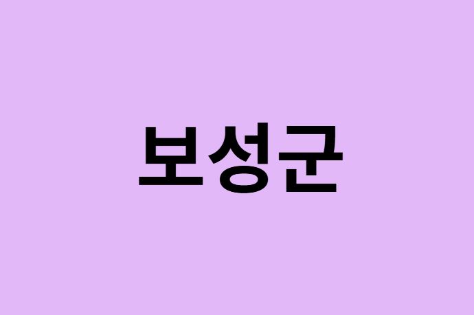 보성군에서 인천공항 가는법 (버스시간표, 기차, 가격, 요금, 공항버스, 제1, 2터미널)
