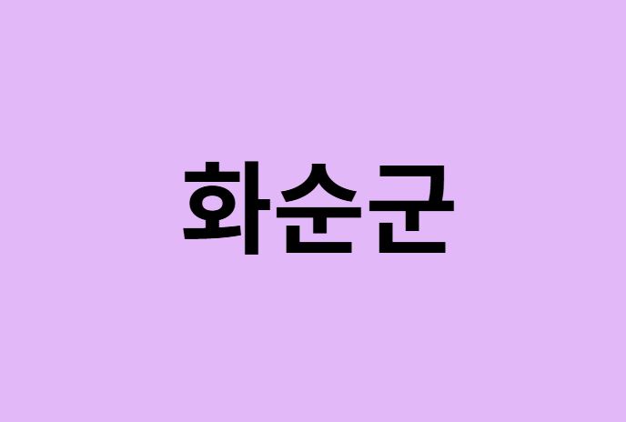 화순군에서 인천공항 가는법 (버스시간표, 기차, 가격, 요금, 공항버스, 제1, 2터미널)