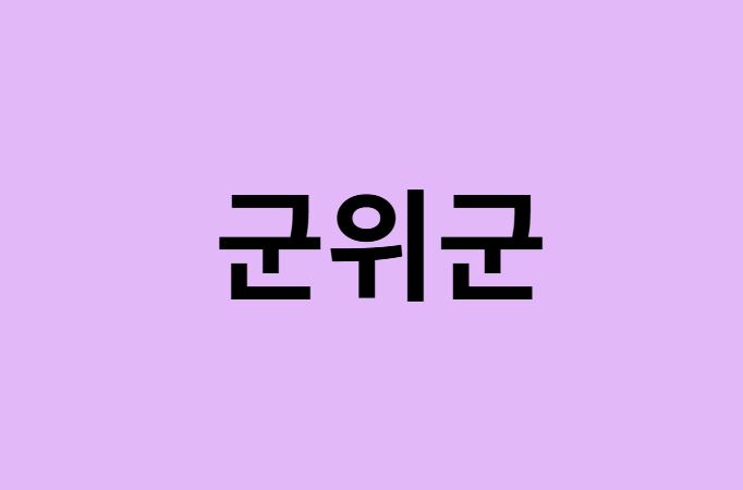 군위군에서 인천공항 가는법 (버스시간표, 기차, 가격, 요금, 공항버스, 제1, 2터미널)