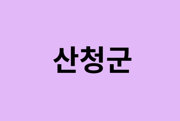 산청군에서 인천공항 가는법 (버스시간표, 기차, 가격, 요금, 공항버스, 제1, 2터미널)