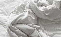 이불에 똥싼꿈 해몽 뜻풀이 총정리 이불에 똥싼꿈