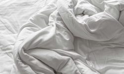 이불 먼지 터는 꿈