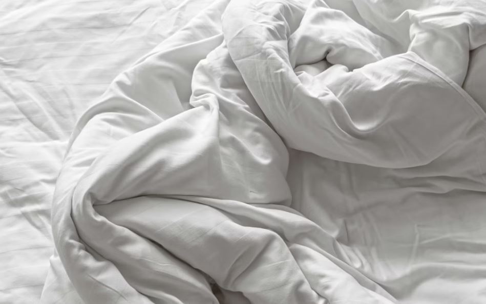 이불 먼지 터는 꿈