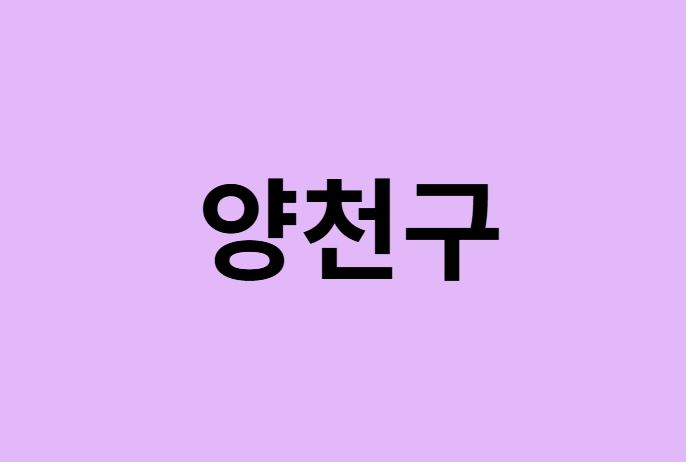 서울 양천구 벚꽃 명소 추천 순위 (숨은길, 숨겨진 장소)
