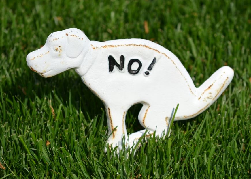 개똥을 치우는 꿈