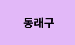 부산 동래구 벚꽃 명소 추천