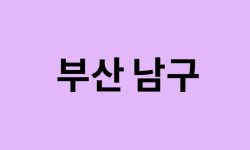 부산 남구 벚꽃 명소 추천 순위 (숨은길, 숨겨진 장소) 부산 남구 벚꽃 명소 추천