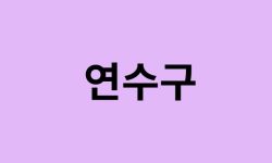 인천 연수구 벚꽃 명소 추천 순위 (숨은길, 숨겨진 장소) 인천 연수구 벚꽃 명소 추천