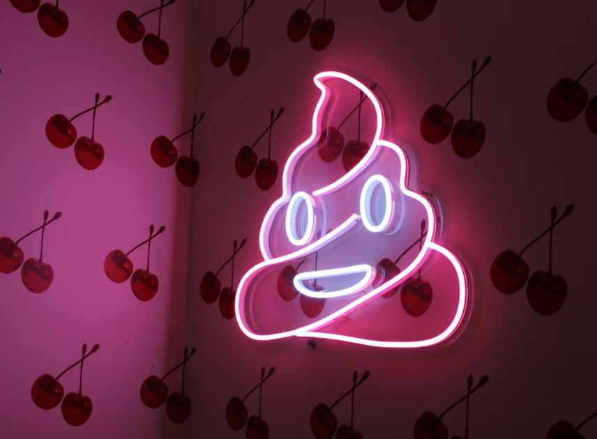 황금색 똥 태몽