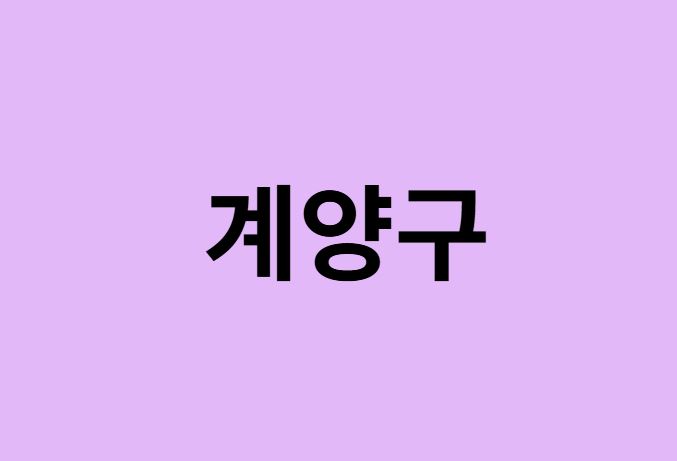 인천 계양구 벚꽃 명소 추천