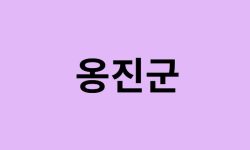 인천 옹진군 벚꽃 명소 추천 순위 (숨은길, 숨겨진 장소) 인천 옹진군 벚꽃 명소 추천