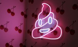 옷에 똥을 싼 꿈 해몽 뜻풀이 총정리 옷에 똥을 싼 꿈