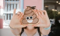 똥통에 발이 빠지는 꿈 해몽 뜻풀이 총정리 똥통에 발이 빠지는 꿈