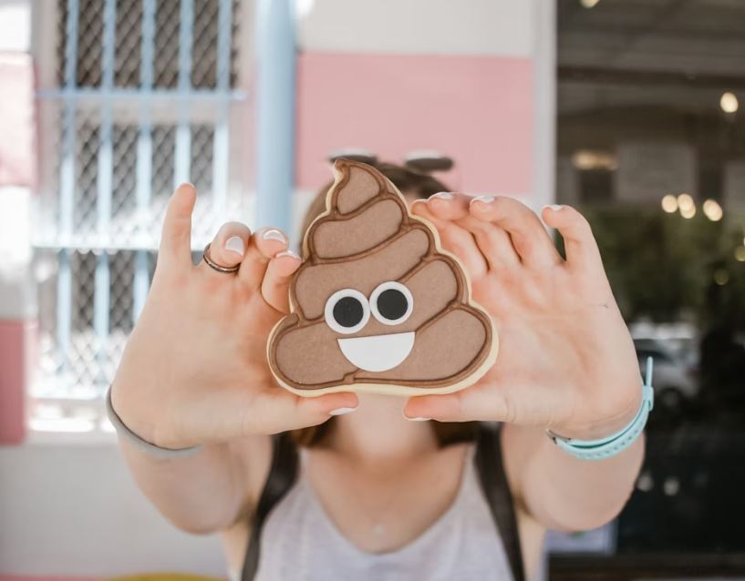 똥통에 똥이 가득한 꿈