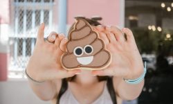 똥통에 내 물건이 빠지는 꿈 해몽 뜻풀이 총정리 똥통에 내 물건이 빠지는 꿈