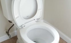 막힌 변기를 뚫는 꿈