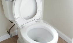 똥이 가득한 꿈 뜻풀이 총정리 똥이 가득한 꿈